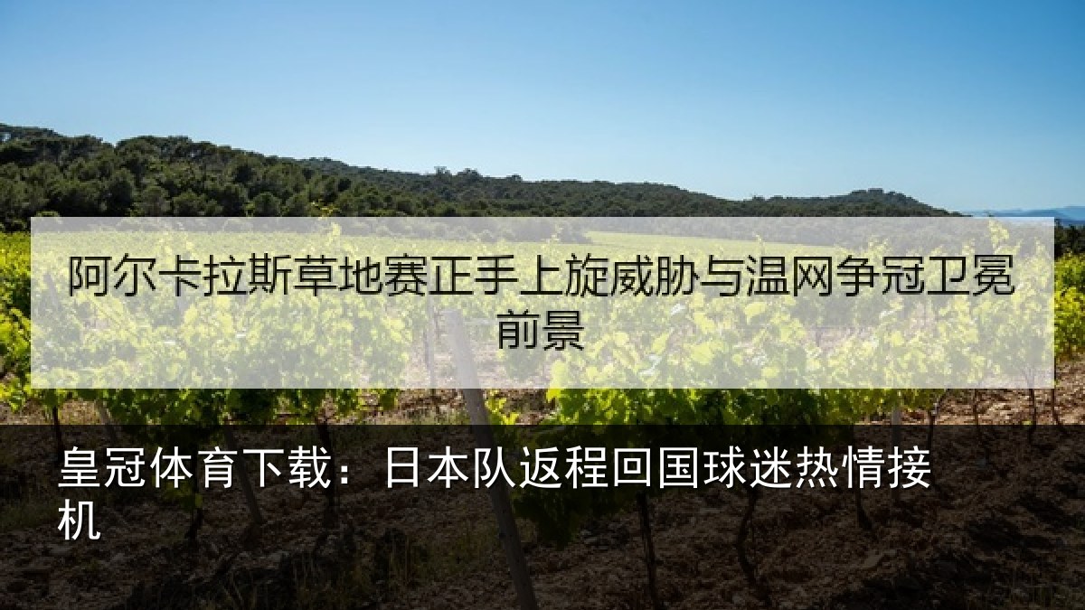皇冠体育下载:日本队返程回国球迷热情接机