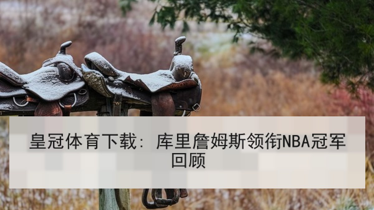皇冠体育下载: 库里詹姆斯领衔NBA冠军回顾